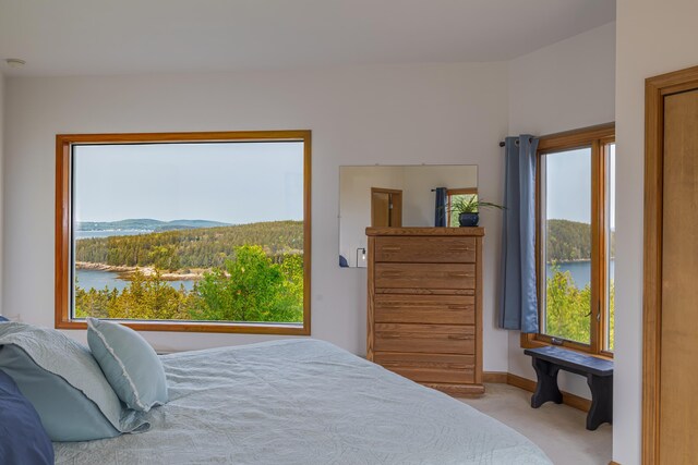 800 Summer Harbor Rd, Winter Harbor, ME 04693 - photo 29