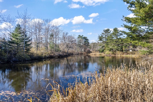 1372 Post Rd Unit 3A, Wells, ME 04090 - water view featuring a heavily wooded area