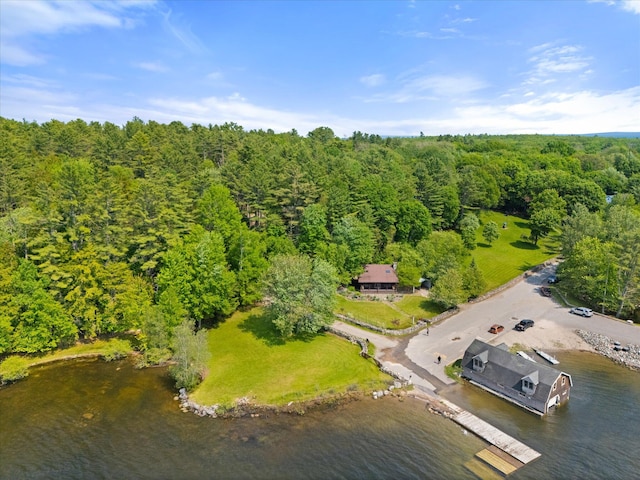 41 Canal St, Grand Lake Stream Plt, ME 04668 - aerial overview of property's location with a forest and a nearby body of water