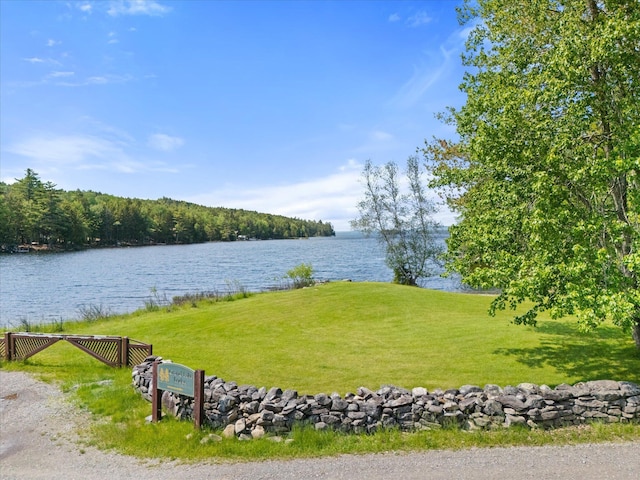 41 Canal St, Grand Lake Stream Plt, ME 04668 - water view with a forest