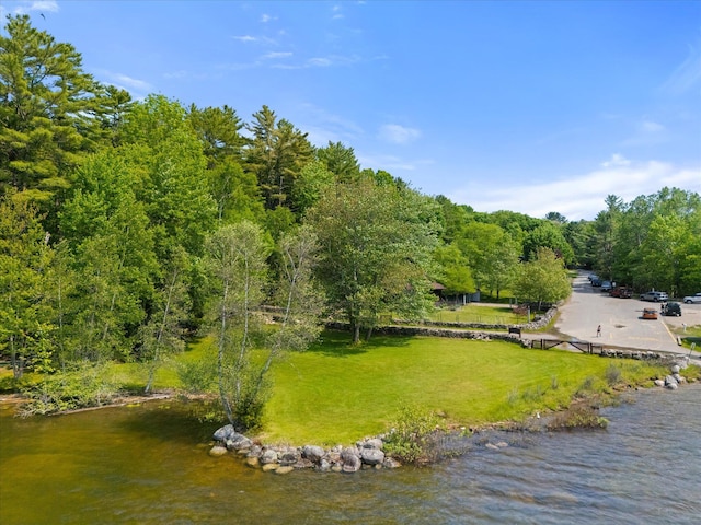 41 Canal St, Grand Lake Stream Plt, ME 04668 - water view with a heavily wooded area