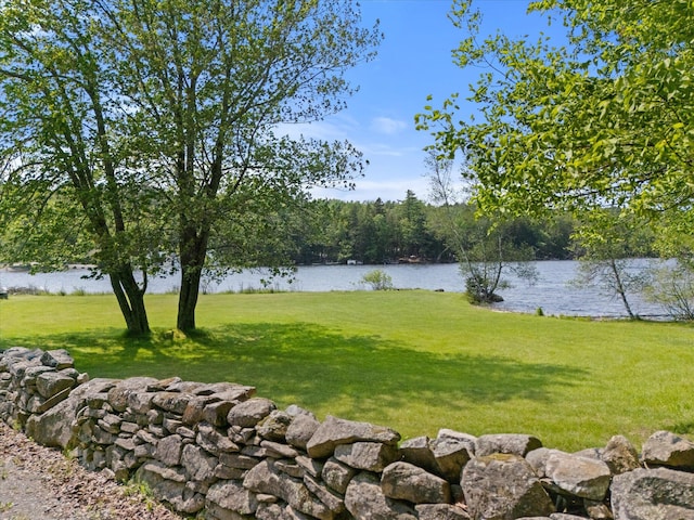 41 Canal St, Grand Lake Stream Plt, ME 04668 - view of green lawn with a water view