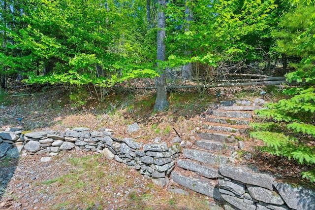 41 Canal St, Grand Lake Stream Plt, ME 04668 - view of yard with stairway