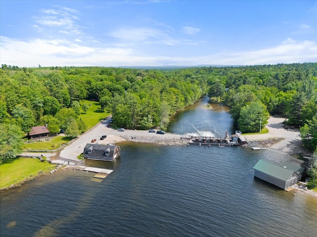41 Canal St, Grand Lake Stream Plt, ME 04668 - aerial view of a heavily wooded area and a large body of water