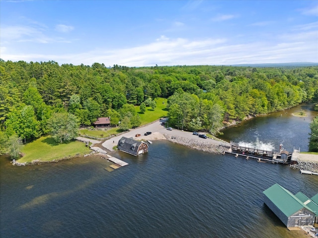 41 Canal St, Grand Lake Stream Plt, ME 04668 - drone / aerial view of a forest and a large body of water