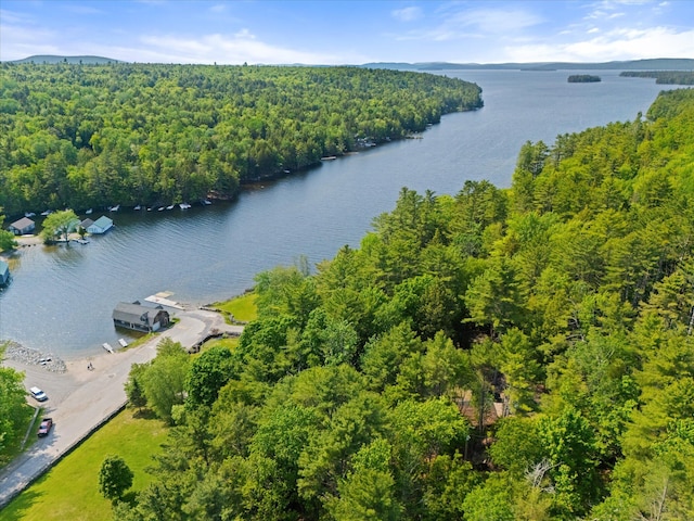 41 Canal St, Grand Lake Stream Plt, ME 04668 - drone / aerial view of a forest and a nearby body of water