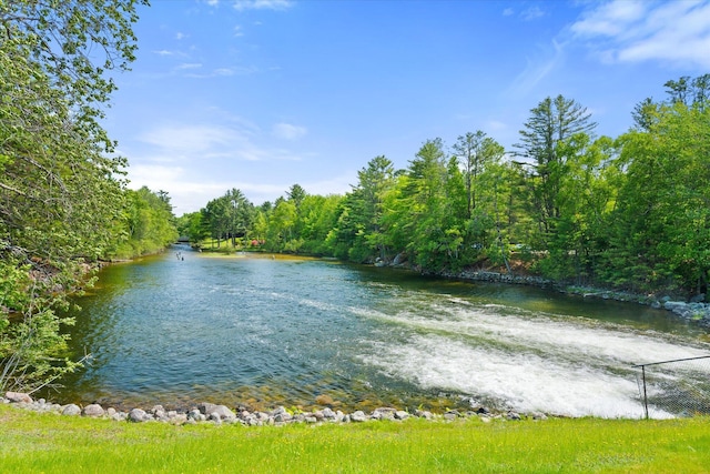 41 Canal St, Grand Lake Stream Plt, ME 04668 - water view with a heavily wooded area