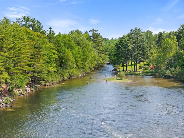 41 Canal St, Grand Lake Stream Plt, ME 04668 - water view