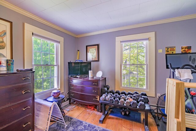 86 High St, Belfast, ME 04915 - workout room featuring plenty of natural light, wood finished floors, and crown molding