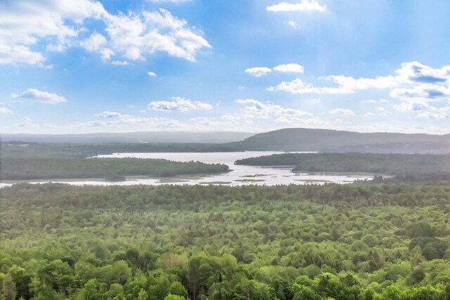 245 Brown Rd, Oakfield, ME 04763 - photo 93