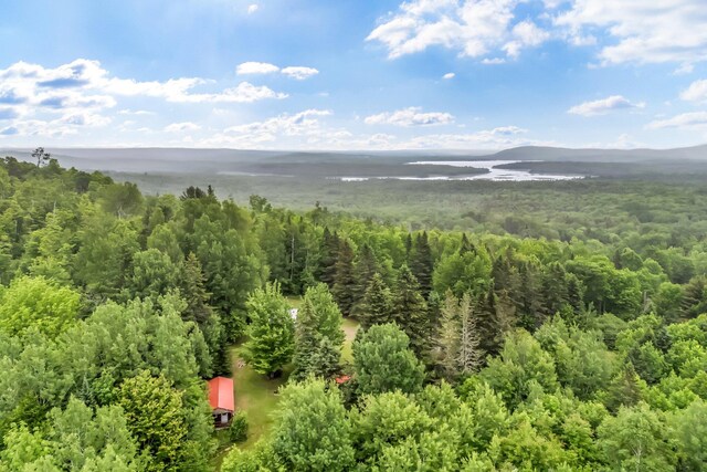 245 Brown Rd, Oakfield, ME 04763 - photo 46