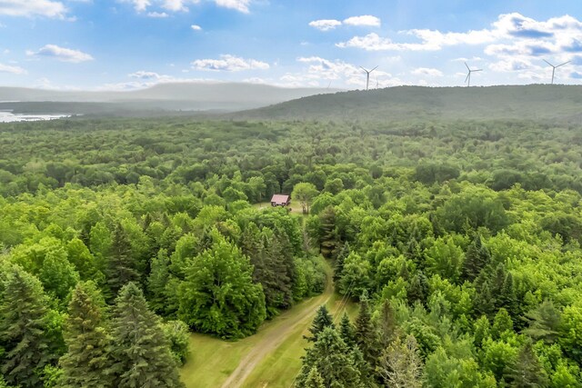 245 Brown Rd, Oakfield, ME 04763 - photo 91