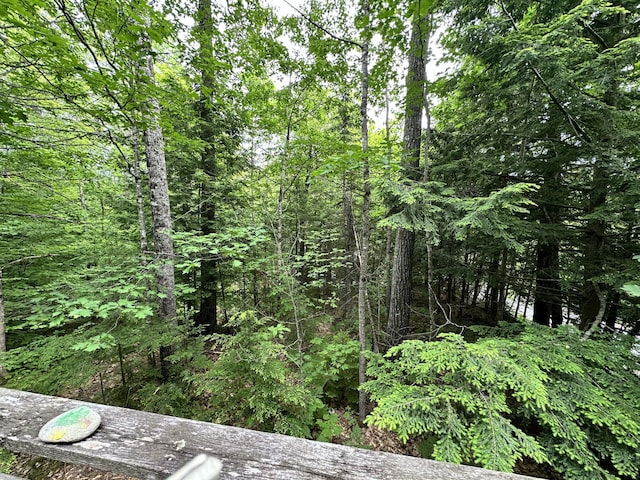 267 Tufts Pond Rd, Kingfield, ME 04947 - view of woods