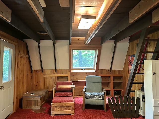 267 Tufts Pond Rd, Kingfield, ME 04947 - below grade area with wood walls, carpet, and wooden ceiling