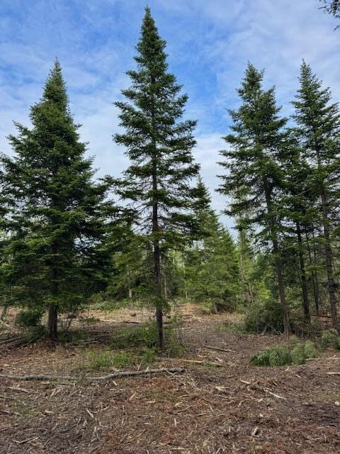 M19L57 Lavertu Rd, Madawaska, ME 04756 - photo 1