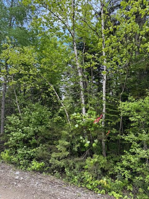 M19L57 Lavertu Rd, Madawaska, ME 04756 - photo 6