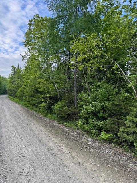 M19L57 Lavertu Rd, Madawaska, ME 04756 - photo 7