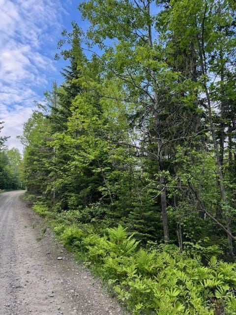 M19L57 Lavertu Rd, Madawaska, ME 04756 - photo 9