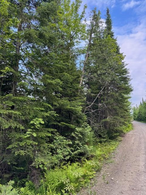 M19L57 Lavertu Rd, Madawaska, ME 04756 - photo 10