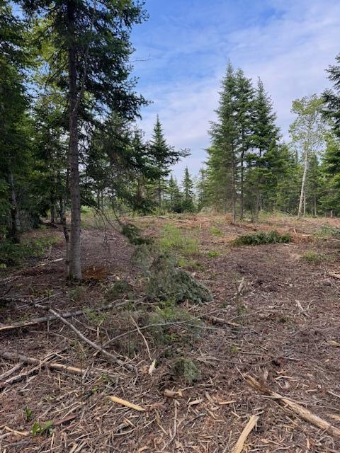 M19L57 Lavertu Rd, Madawaska, ME 04756 - photo 11