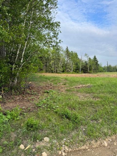 M19L57 Lavertu Rd, Madawaska, ME 04756 - photo 12