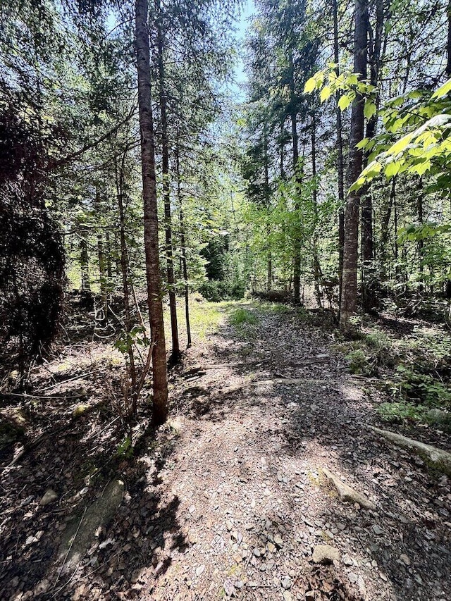 133 Camp Waya-Awi Rd, Rangeley, ME 04970 - view of street featuring a view of trees