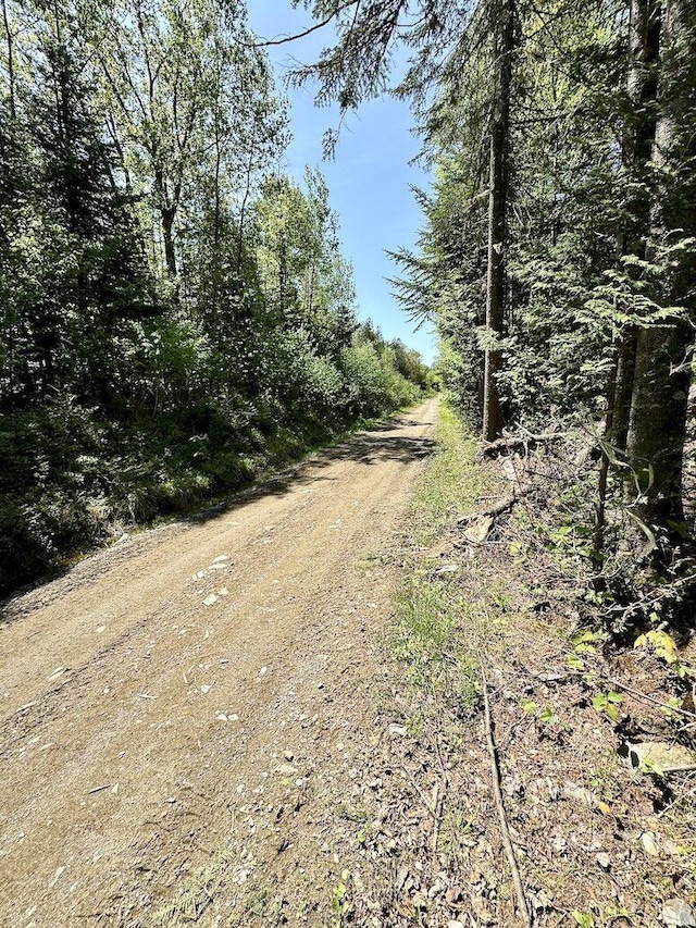 133 Camp Waya-Awi Rd, Rangeley, ME 04970 - view of dirt / gravel road