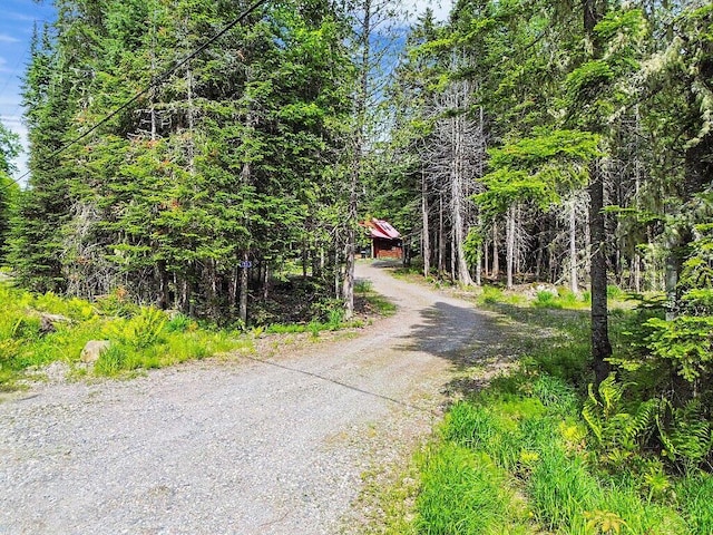 133 Camp Waya-Awi Rd, Rangeley, ME 04970 - view of dirt / gravel driveway with a wooded view