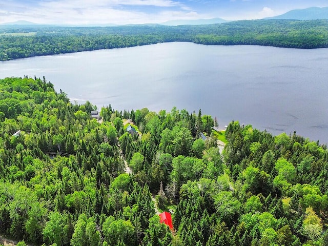 133 Camp Waya-Awi Rd, Rangeley, ME 04970 - drone / aerial view of a heavily wooded area and a nearby body of water