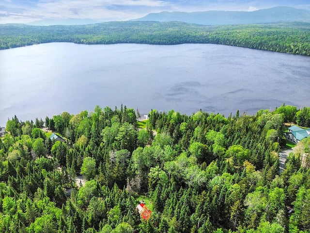 133 Camp Waya-Awi Rd, Rangeley, ME 04970 - bird's eye view of a forest and a large body of water