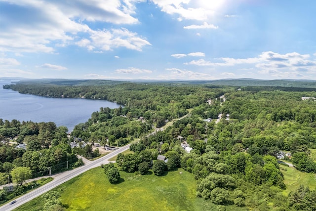 16 Old Village Rd, Winthrop, ME 04364 - drone / aerial view of a forest and a nearby body of water