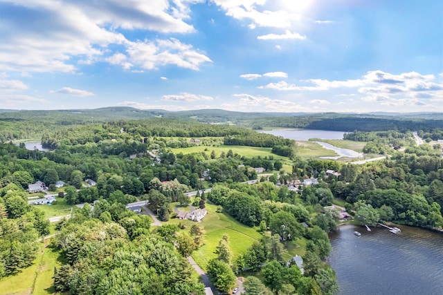 16 Old Village Rd, Winthrop, ME 04364 - bird's eye view of a large body of water