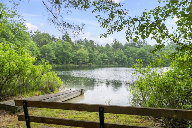 7 Kincaid Ln, Newfield, ME 04095 - water view with a forest