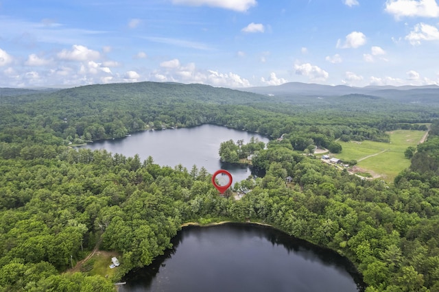 7 Kincaid Ln, Newfield, ME 04095 - aerial overview of property's location with a water and mountain view