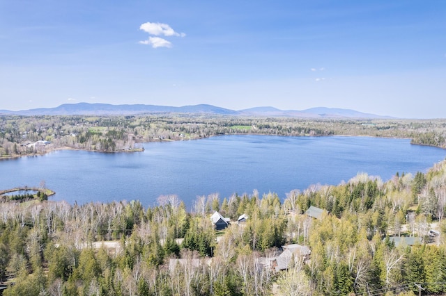40 Spring Rd, Rangeley, ME 04970 - photo 12