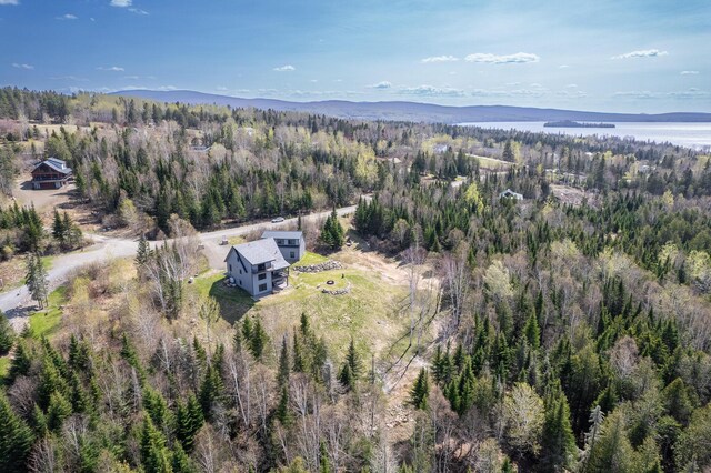 40 Spring Rd, Rangeley, ME 04970 - photo 15