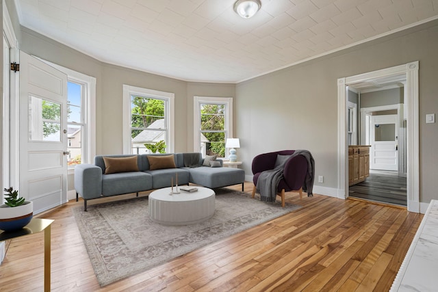 2 Stobie St, Winslow, ME 04901 - living room with crown molding and hardwood / wood-style flooring