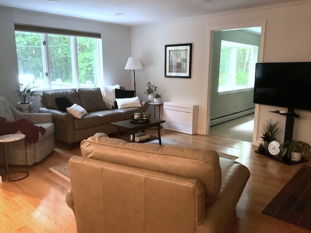 6 Hackmatack Dr, Scarborough, ME 04074 - living room with a baseboard radiator, plenty of natural light, light wood-style flooring, and crown molding