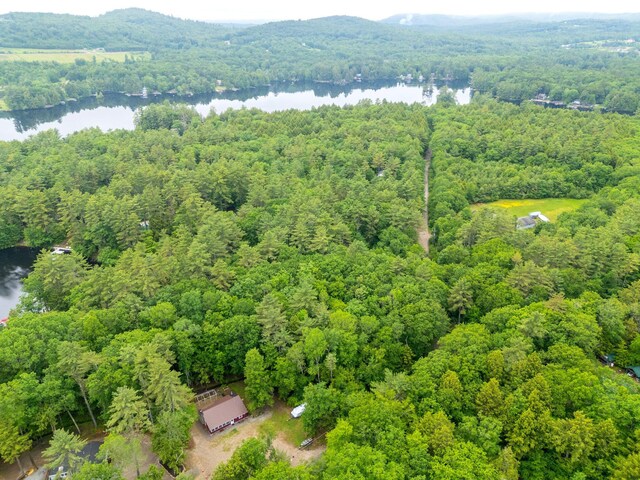 60 Watson Hill Rd, Limerick, ME 04048 - drone / aerial view of a forest and a nearby body of water