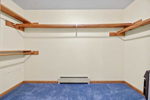 52 Douglas Ave, Saco, ME 04072 - walk in closet with a baseboard radiator and carpet floors
