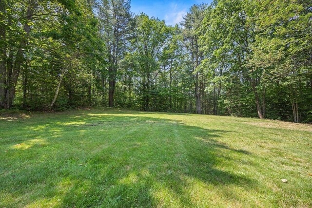 52 Douglas Ave, Saco, ME 04072 - view of green lawn with a wooded view