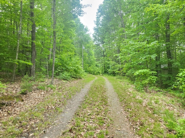 40 Griffin Mountain Rd, New Vineyard, ME 04956 - view of road featuring a wooded view