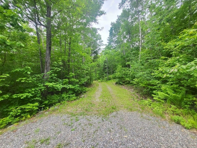40 Griffin Mountain Rd, New Vineyard, ME 04956 - view of dirt / gravel road with a wooded view