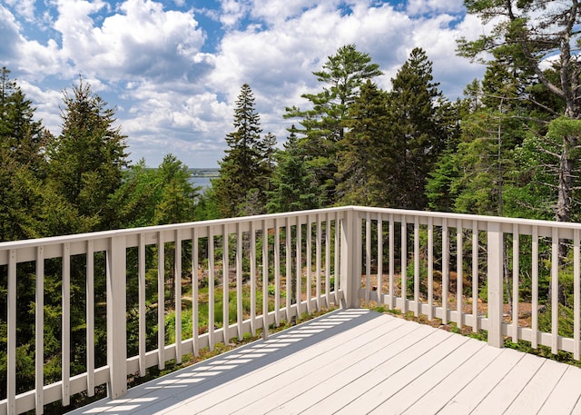 379 Bay View Dr, Bar Harbor, ME 04609 - photo 38