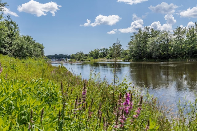 30 Lincoln St Unit 109, Westbrook, ME 04092 - water view featuring a heavily wooded area