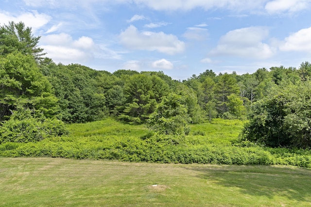 474 Center St, Nobleboro, ME 04555 - view of yard featuring a forest view