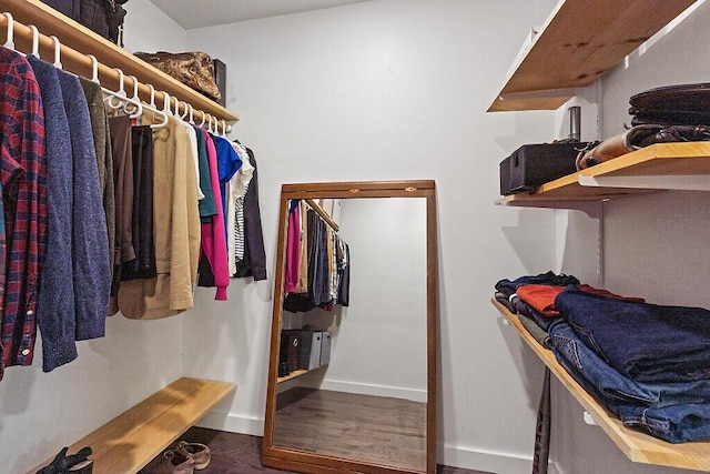 43 Brookside Ln, Freeman Twp, ME 04983 - walk in closet with wood finished floors