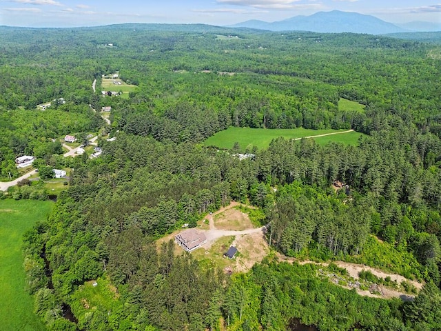 43 Brookside Ln, Freeman Twp, ME 04983 - view of property location with a forest and a mountainous background