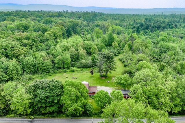232 Castine Rd, Orland, ME 04472 - photo 3