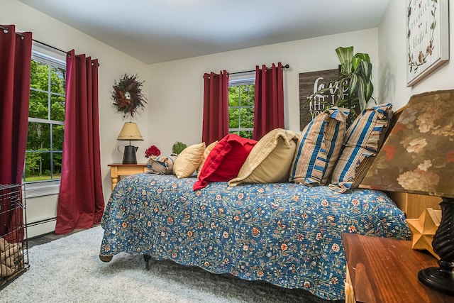 5 Willard Way, Raymond, ME 04071 - carpeted bedroom with a baseboard heating unit
